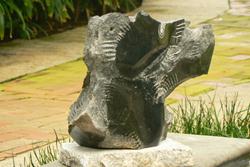 HIPPOCAMPES